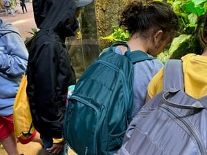 Zoo field trip Fortunado